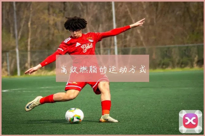 高效燃脂的运动方式