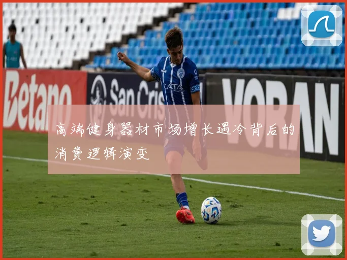 高端健身器材市场增长遇冷背后的消费逻辑演变